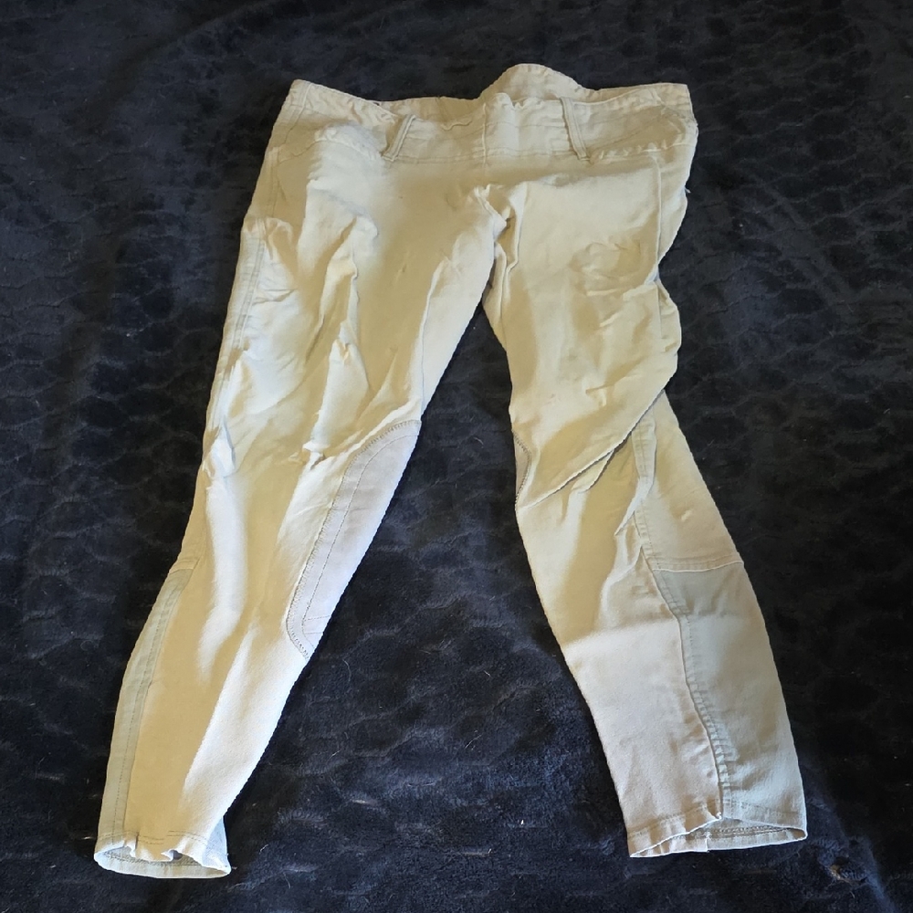 Ariat Beige and Black Label Riding Breeches
